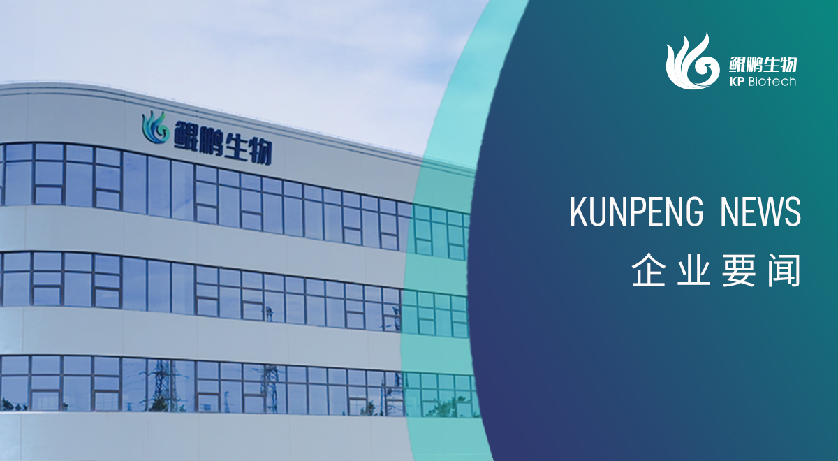 宁波金沙js93252新添两项政府荣誉认定 创新发展再获认可